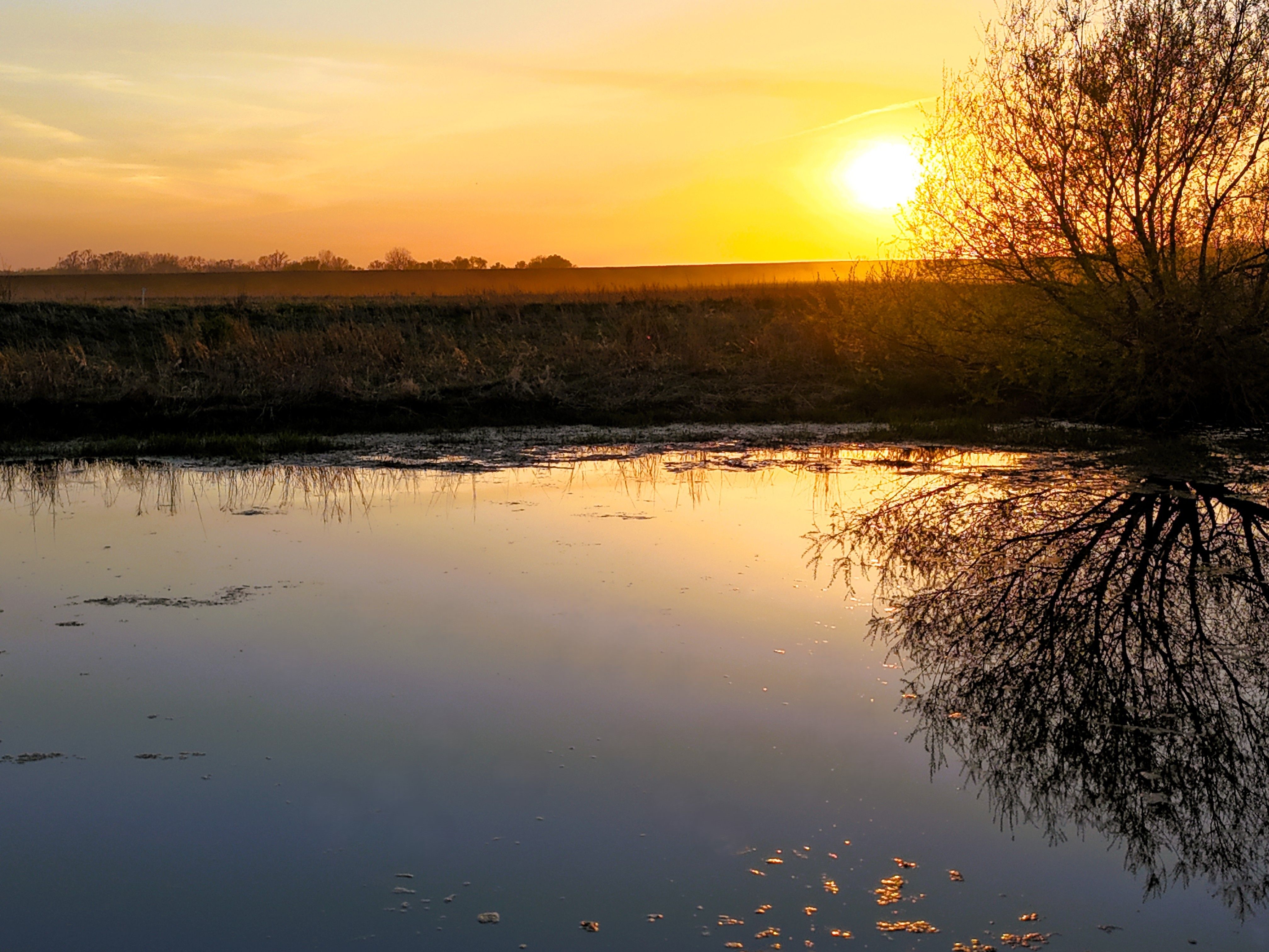 Listing Photo: Pond sunset cover
